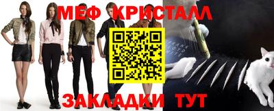 стафф Донской