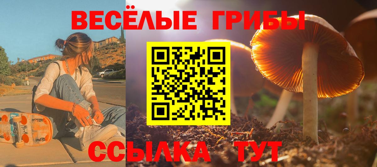 Псилоцибиновые грибы мухоморы  Псилоцибиновые грибы мухоморы  Вход с VPN  наркошоп  Россия 