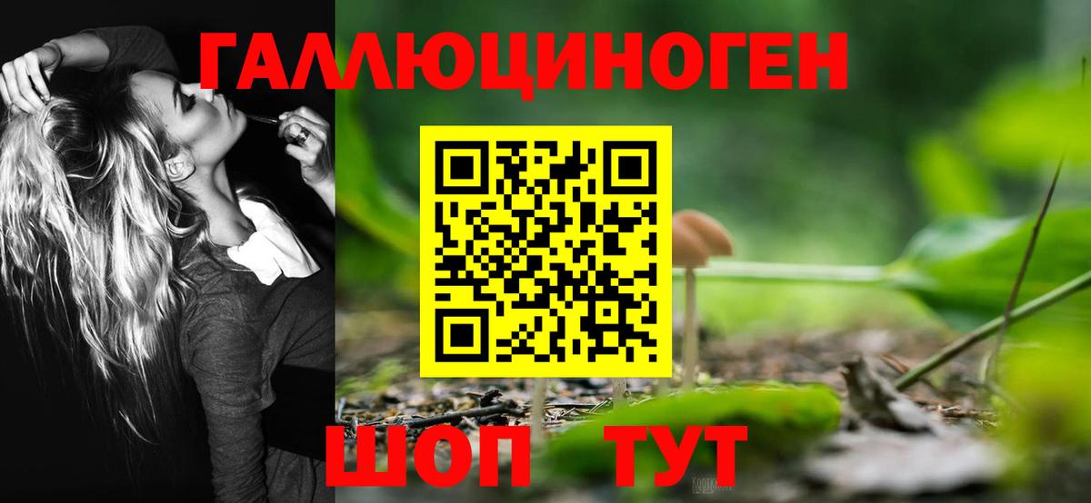 Псилоцибиновые грибы ЛСД Россия