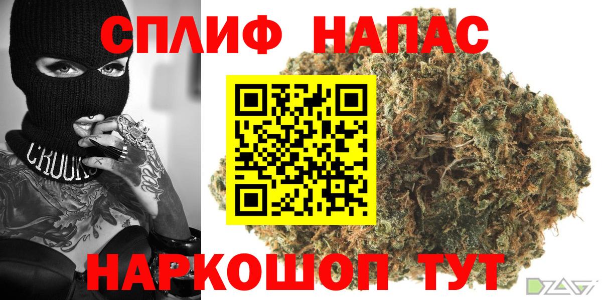 Шишки марихуана конопля Россия